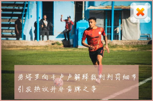 劳塔罗向卡卢卢解释裁判判罚细节引发热议并非黄牌之争